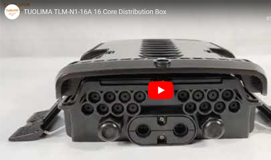 Tlm - N1 - 16A 16 core distribution box
